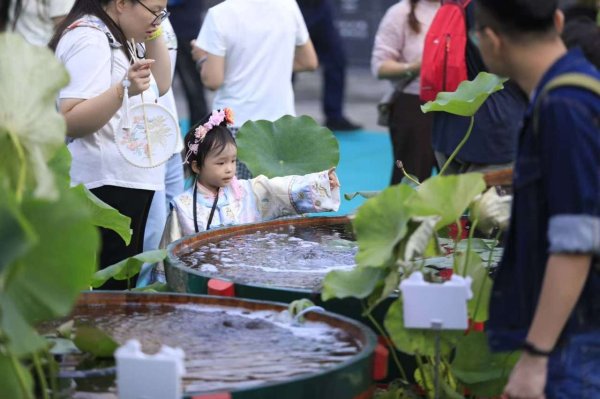 括普投资 去看恭王府怎么养金鱼？