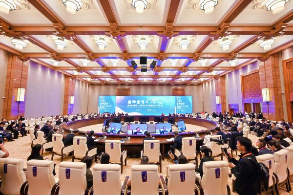 好牛 从敦煌出发，中国与共建“一带一路”国家深化多领域合作