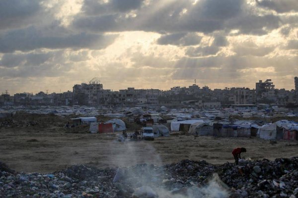 真牛所 本轮巴以冲突已致加沙地带65344人死亡